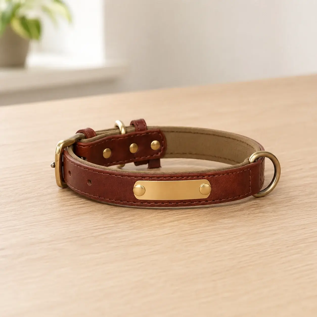The brown collar resting flat on a table, drying away from heat