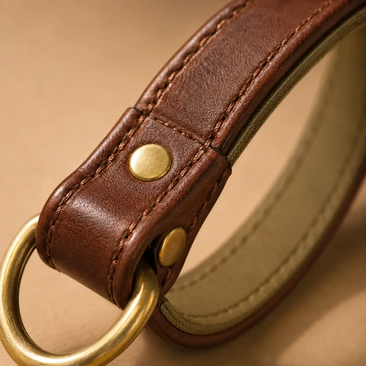 Close-up of the brown handle loop, brass ring, olive lining visible inside the fold and a rivet closing it