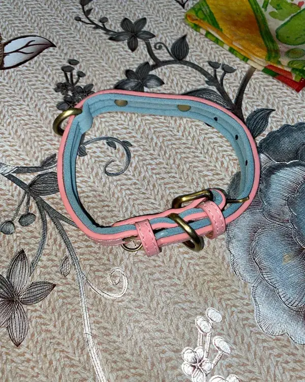 The pink and blue collar laid open on a patterned cloth, buckle and keeper visible