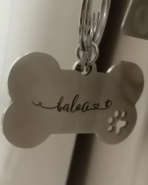 Steel bone-shaped tag engraved "balboa", with a cut-out paw print