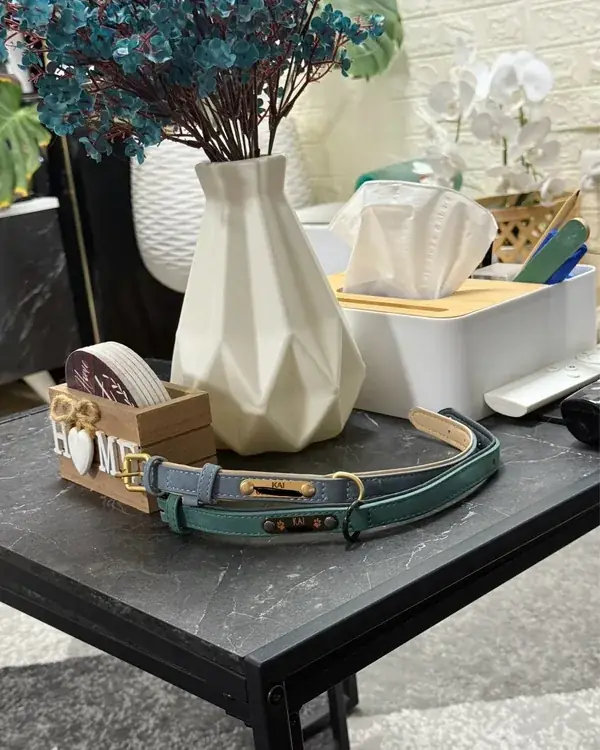 Leather Dog Collar with Name Plate photographed by Elodie V., a verified buyer